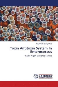 bokomslag Toxin Antitoxin System In Enterococcus