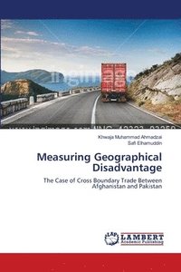 bokomslag Measuring Geographical Disadvantage