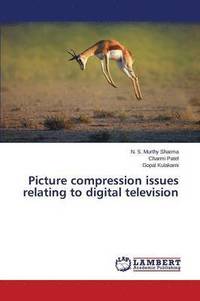 bokomslag Picture compression issues relating to digital television