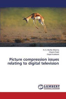 Picture compression issues relating to digital television 1