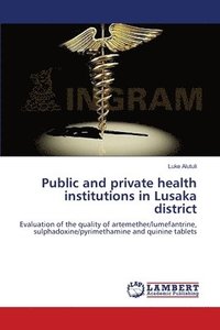 bokomslag Public and private health institutions in Lusaka district