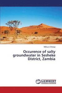 bokomslag Occurence of salty groundwater in Sesheke District, Zambia