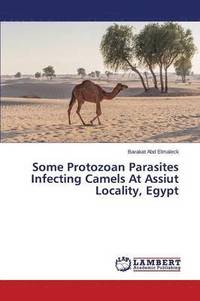 bokomslag Some Protozoan Parasites Infecting Camels At Assiut Locality, Egypt
