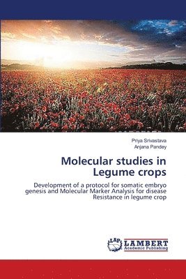 Molecular studies in Legume crops 1