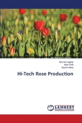 bokomslag Hi-Tech Rose Production