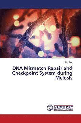 DNA Mismatch Repair and Checkpoint System during Meiosis 1