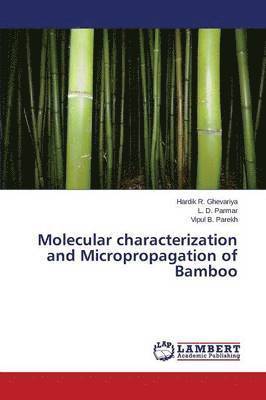 bokomslag Molecular characterization and Micropropagation of Bamboo