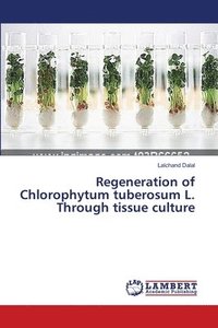bokomslag Regeneration of Chlorophytum tuberosum L. Through tissue culture