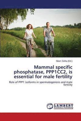 Mammal specific phosphatase, PPP1CC2, is essential for male fertility 1