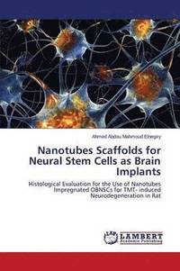 bokomslag Nanotubes Scaffolds for Neural Stem Cells as Brain Implants