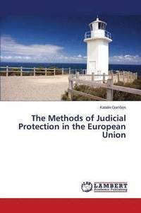 bokomslag The Methods of Judicial Protection in the European Union