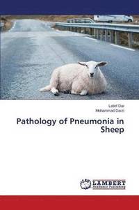 bokomslag Pathology of Pneumonia in Sheep