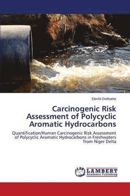 bokomslag Carcinogenic Risk Assessment of Polycyclic Aromatic Hydrocarbons
