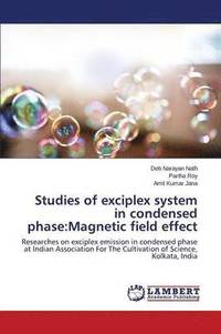 bokomslag Studies of exciplex system in condensed phase