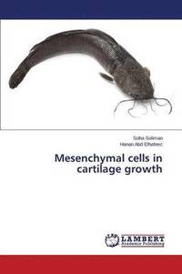 bokomslag Mesenchymal cells in cartilage growth