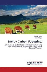 bokomslag Energy Carbon Footprints
