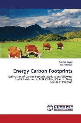Energy Carbon Footprints 1