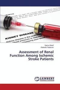 bokomslag Assessment of Renal Function Among Ischemic Stroke Patients