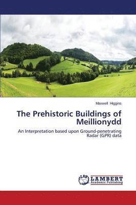bokomslag The Prehistoric Buildings of Meillionydd