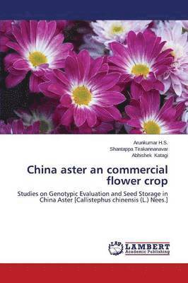 China aster an commercial flower crop 1