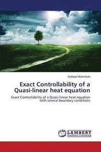 bokomslag Exact Controllability of a Quasi-linear heat equation