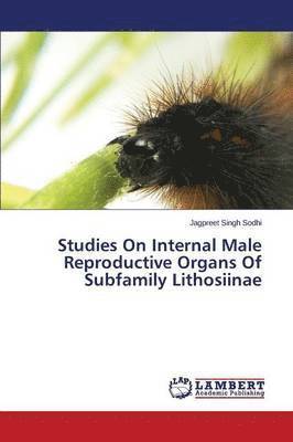 Studies On Internal Male Reproductive Organs Of Subfamily Lithosiinae 1