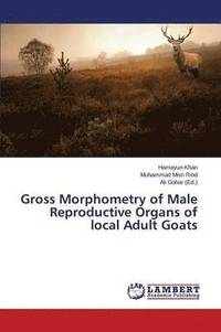 bokomslag Gross Morphometry of Male Reproductive Organs of local Adult Goats