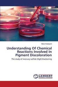 bokomslag Understanding Of Chemical Reactions Involved In Pigment Discoloration