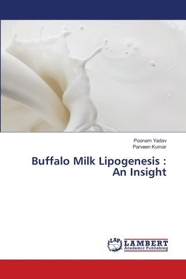 bokomslag Buffalo Milk Lipogenesis