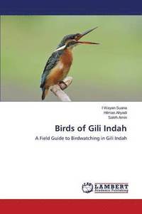 bokomslag Birds of Gili Indah