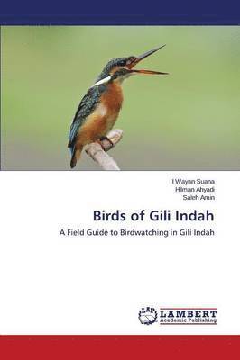 Birds of Gili Indah 1
