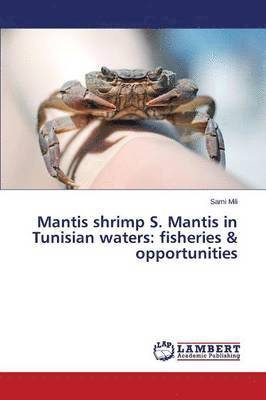 bokomslag Mantis shrimp S. Mantis in Tunisian waters