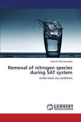 Removal of nitrogen species during SAT system 1