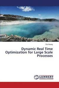 bokomslag Dynamic Real Time Optimization for Large Scale Processes