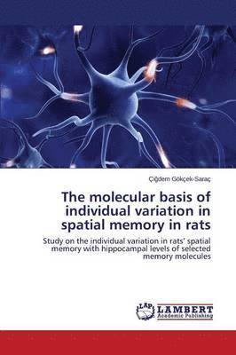 The molecular basis of individual variation in spatial memory in rats 1
