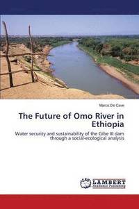 bokomslag The Future of Omo River in Ethiopia
