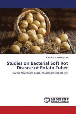 Studies on Bacterial Soft Rot Disease of Potato Tuber 1