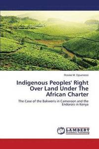 bokomslag Indigenous Peoples' Right Over Land Under The African Charter