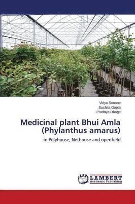 bokomslag Medicinal plant Bhui Amla (Phylanthus amarus)