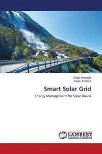 bokomslag Smart Solar Grid