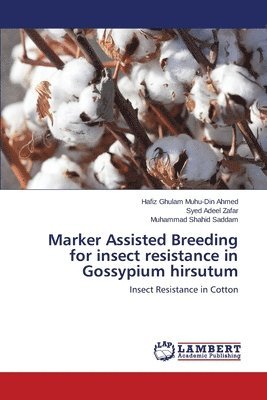 Marker Assisted Breeding for insect resistance in Gossypium hirsutum 1