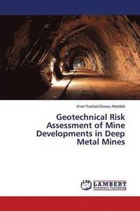 bokomslag Geotechnical Risk Assessment of Mine Developments in Deep Metal Mines