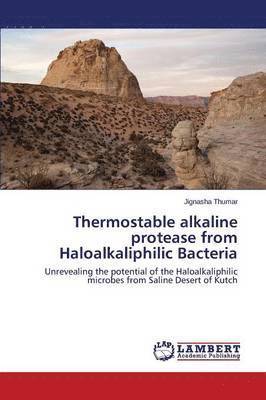 Thermostable alkaline protease from Haloalkaliphilic Bacteria 1