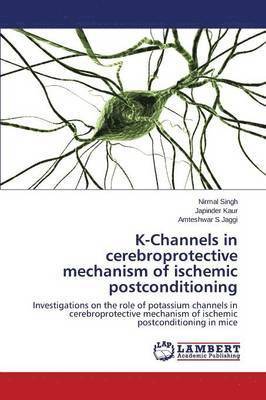 K-Channels in cerebroprotective mechanism of ischemic postconditioning 1