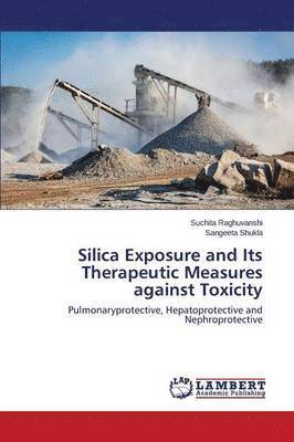 bokomslag Silica Exposure and Its Therapeutic Measures against Toxicity