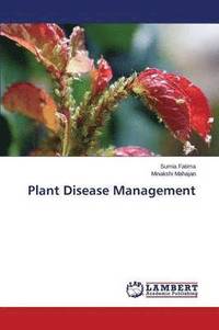 bokomslag Plant Disease Management