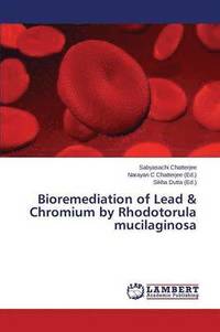 bokomslag Bioremediation of Lead & Chromium by Rhodotorula mucilaginosa