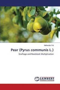 bokomslag Pear (Pyrus communis L.)