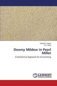 bokomslag Downy Mildew in Pearl Millet
