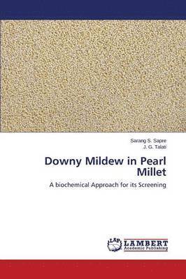 Downy Mildew in Pearl Millet 1